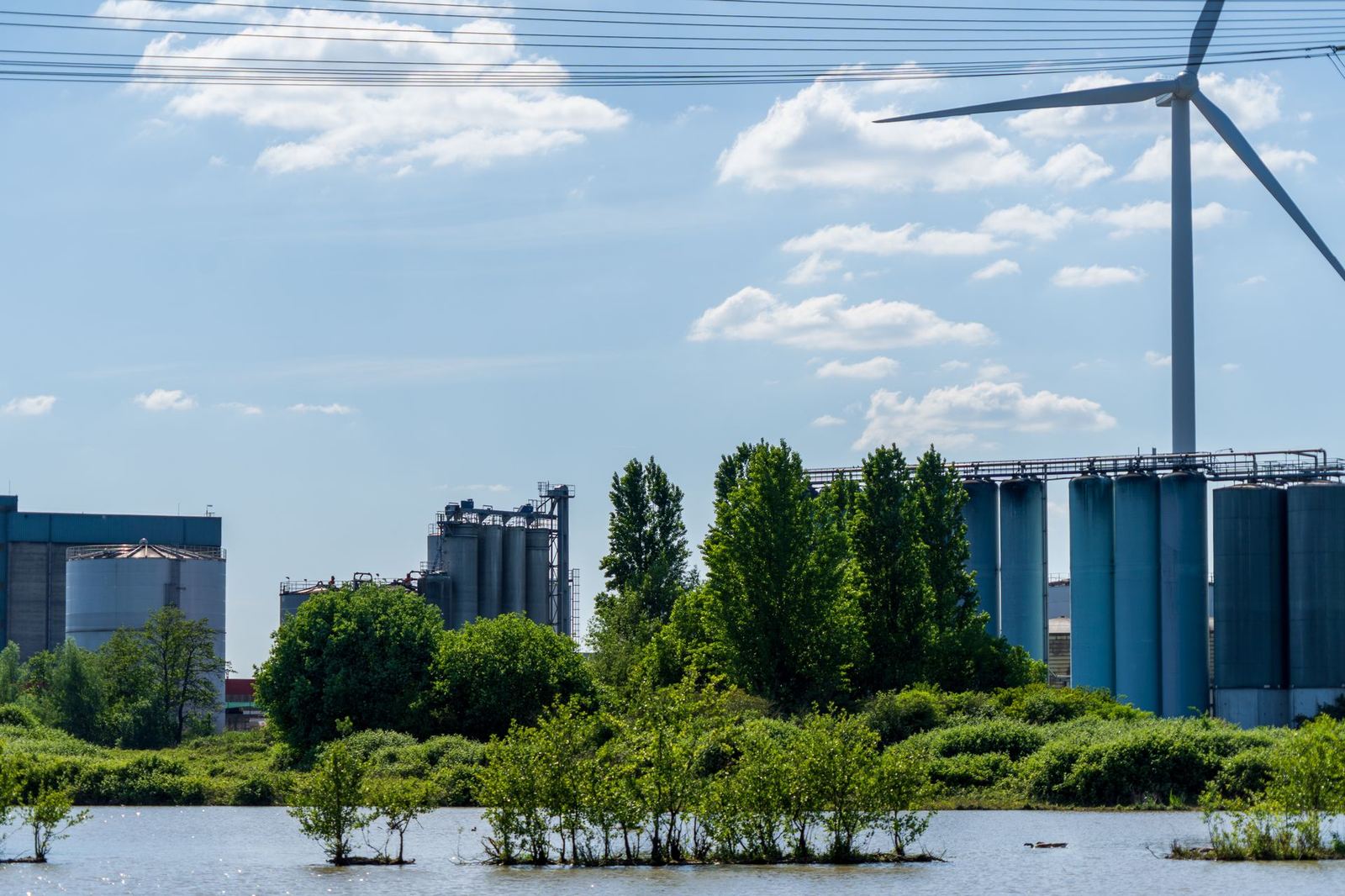 ISO 14001 Çevre Yönetim Sistemi Belgelendirme